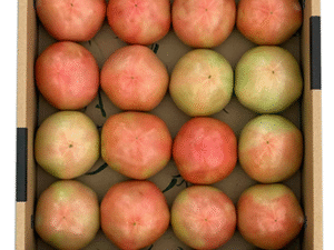 直売所オンラインショップA級